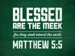 Blessed Are the Meek