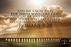 Romans 8 28