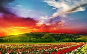 beautiful-landscape-hd-wallpap-2-0-s-307x512