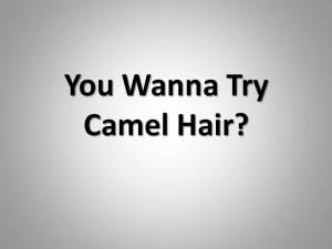 You Wanna Try Camel Hair
