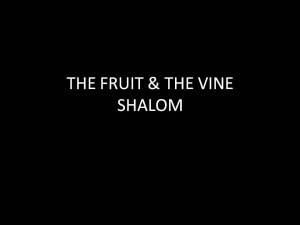 THE FRUIT & THE VINE
