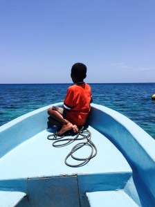 Honduras-One-Part-Plant