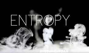 Entropy