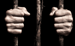 Screen Shot 2015-11-20 at 12.05.59 PM