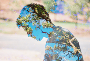 Screen Shot 2015-12-28 at 8.39.44 PM