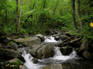 Screen Shot 2016-01-14 at 3.21.04 PM