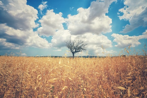 iStock_000083463937_Small