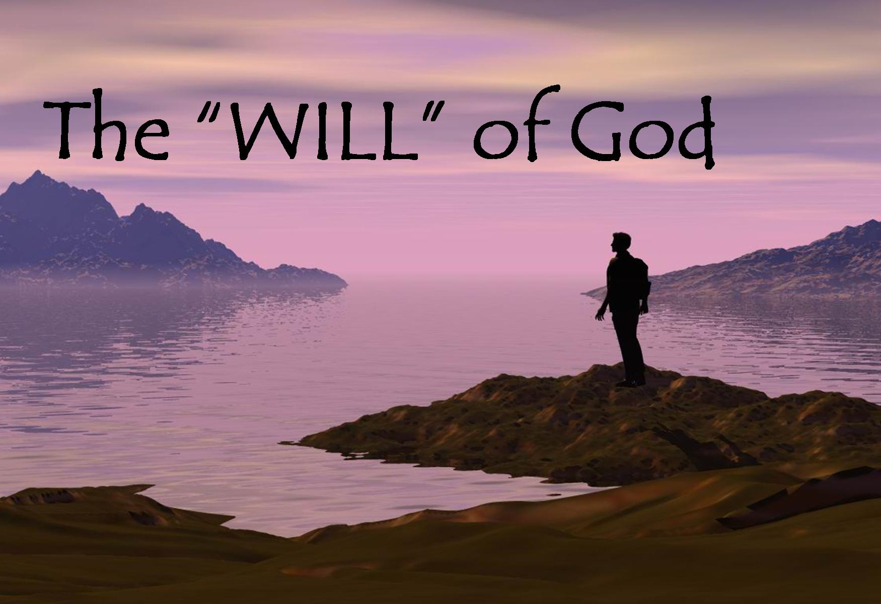 The Will of God – Freedom Fighters